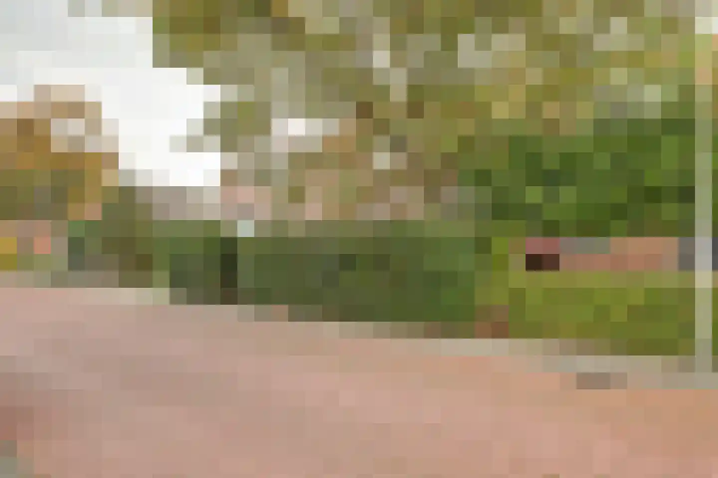 Koningin Julianastraat 5 Waarder thumbnail 31