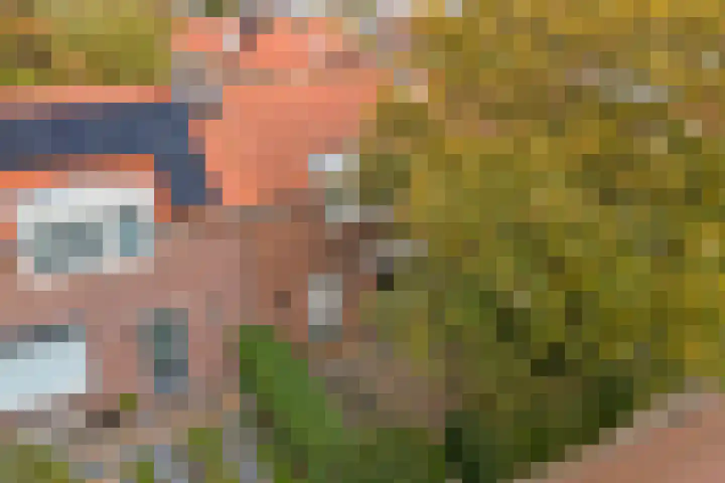 Koningin Julianastraat 5 Waarder thumbnail 33