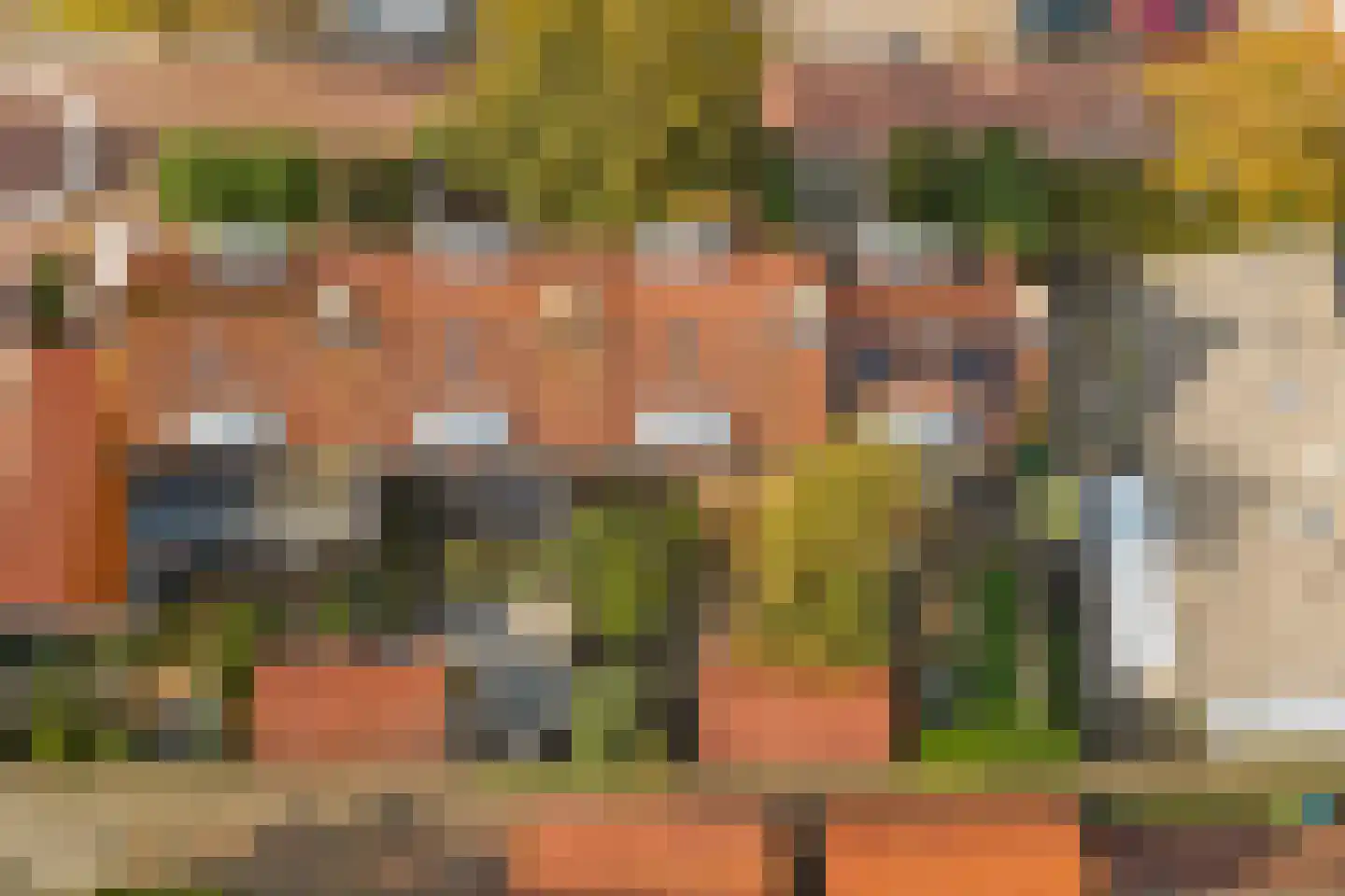 Koningin Julianastraat 5 Waarder thumbnail 34