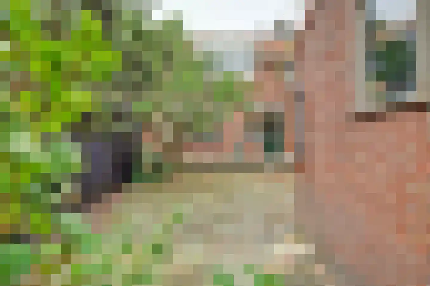 Koningin Julianastraat 5 Waarder thumbnail 6