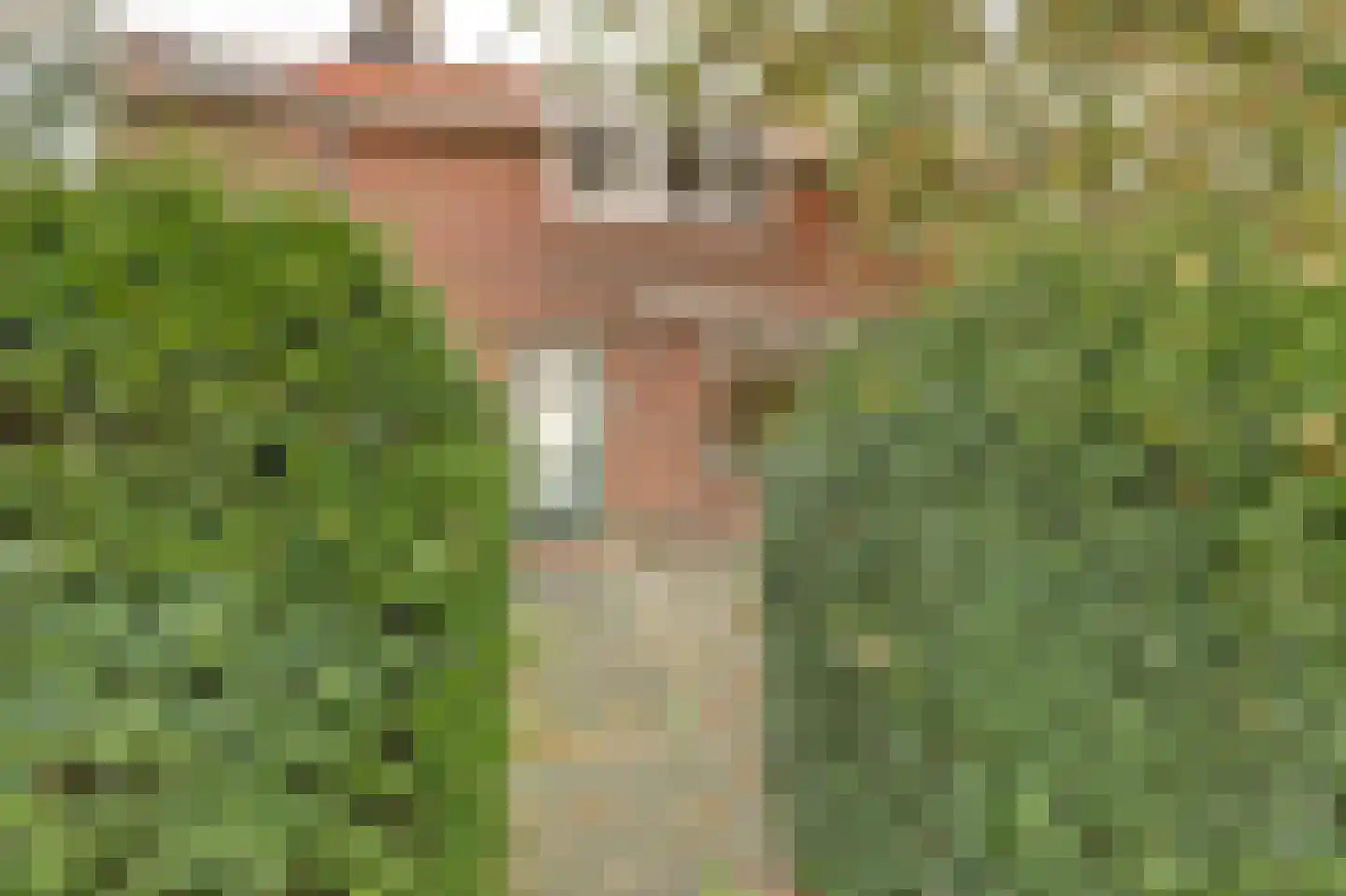 Koningin Julianastraat 5 Waarder thumbnail 7