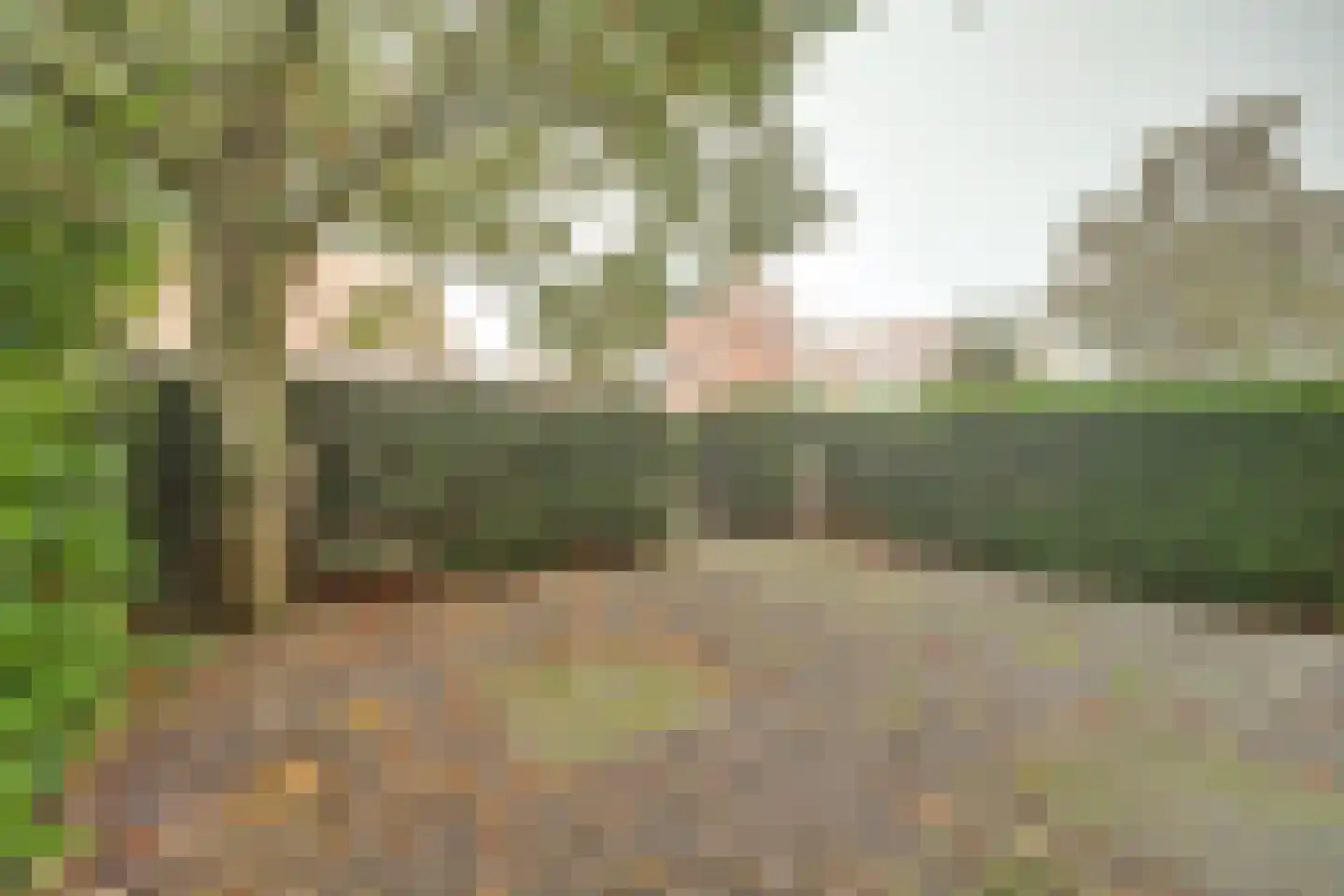 Koningin Julianastraat 5 Waarder thumbnail 9