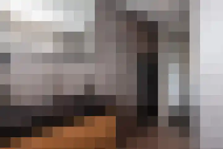 Koningin Julianastraat 52 Hardinxveld-Giessendam thumbnail 23