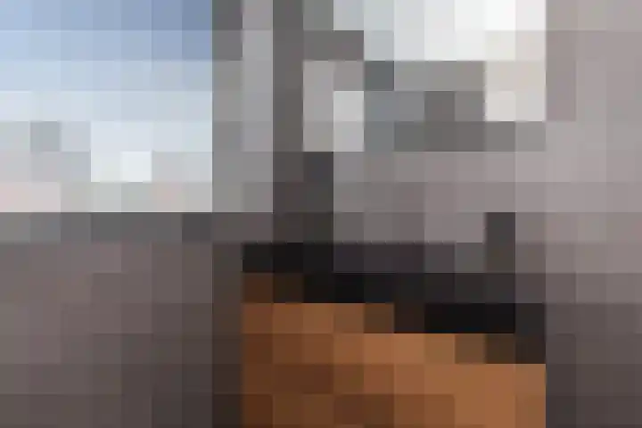 Koningin Julianastraat 52 Hardinxveld-Giessendam thumbnail 24