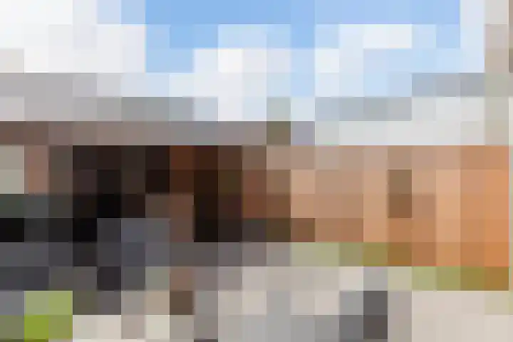 Koningin Julianastraat 52 Hardinxveld-Giessendam thumbnail 31