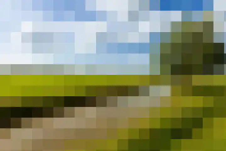 Koningin Julianastraat 52 Hardinxveld-Giessendam thumbnail 36