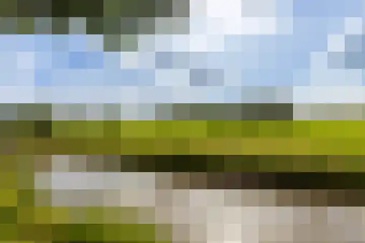 Koningin Julianastraat 52 Hardinxveld-Giessendam thumbnail 37