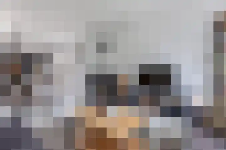 Koningin Julianastraat 55 Huizen thumbnail 12