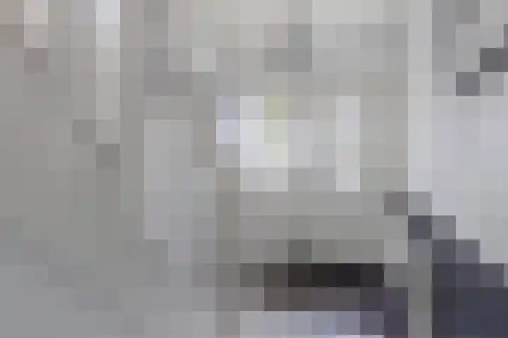 Koningin Julianastraat 55 Huizen thumbnail 5