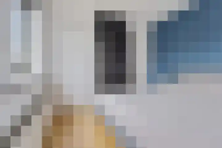 Koningin Julianastraat 58 Smilde thumbnail 17