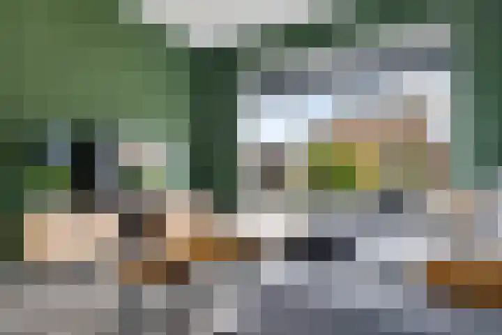 Koningin Julianastraat 58 Smilde thumbnail 5