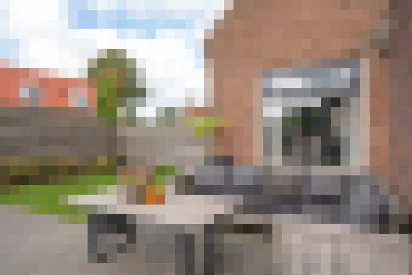 Koningin Julianastraat 59 Smilde thumbnail 37