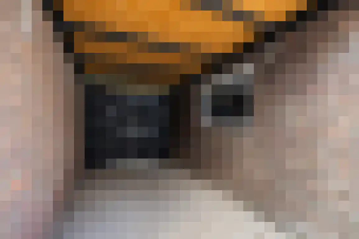 Koningin Julianastraat 6 Nieuwe-Tonge thumbnail 26