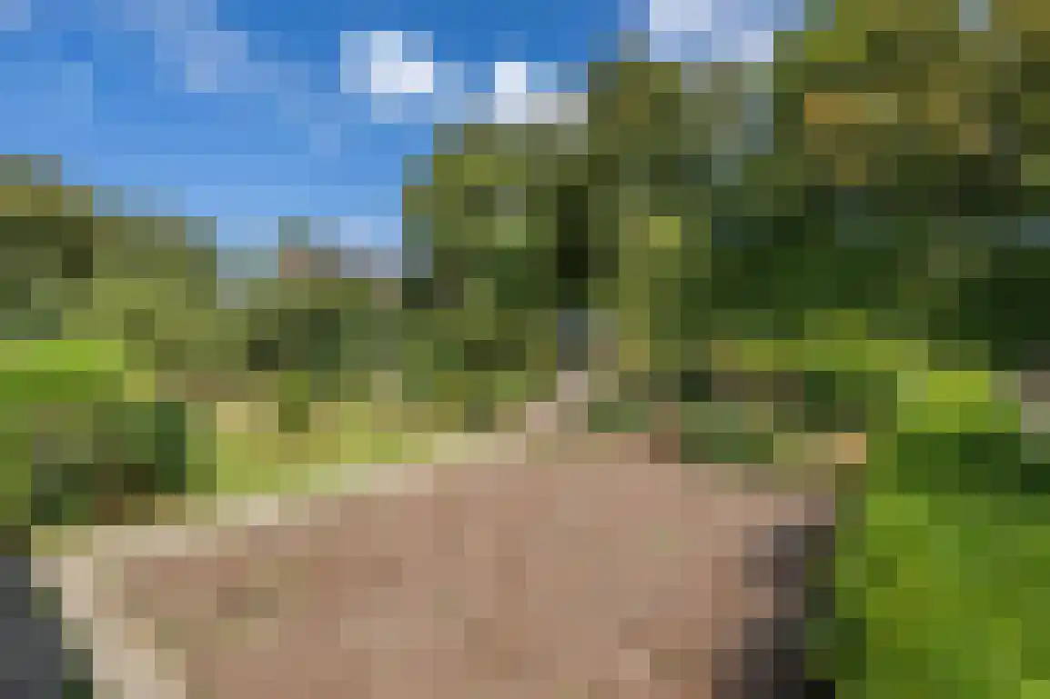 Koningin Julianastraat 6 Nieuwe-Tonge thumbnail 6