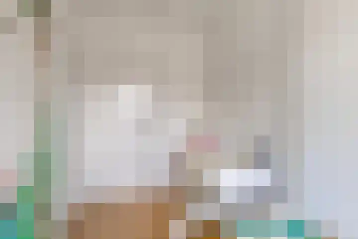 Koningin Julianastraat 66 Oudewater thumbnail 29