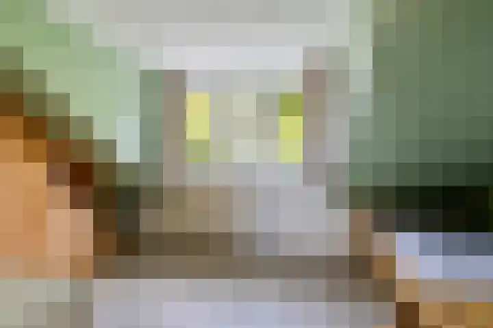 Koningin Julianastraat 66 Oudewater thumbnail 34
