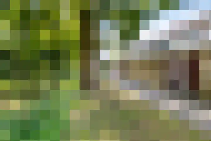 Koningin Julianastraat 66 Oudewater thumbnail 44