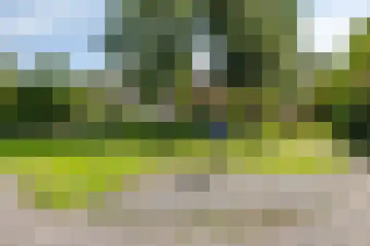 Koningin Julianastraat 66 Oudewater thumbnail 45