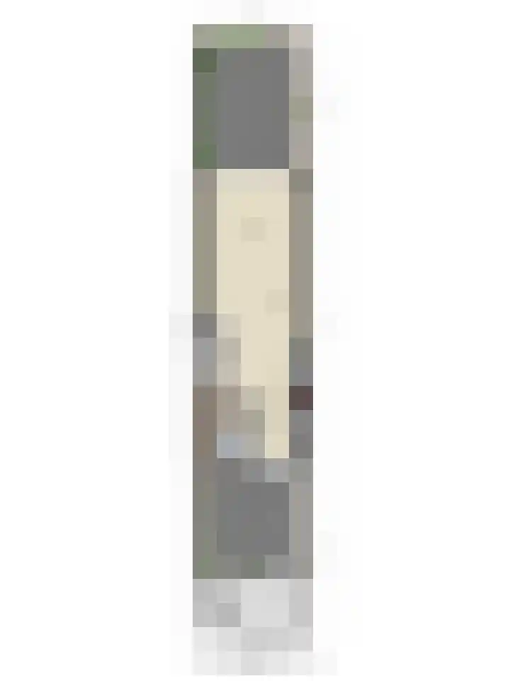 Koningin Julianastraat 66 Oudewater thumbnail 47