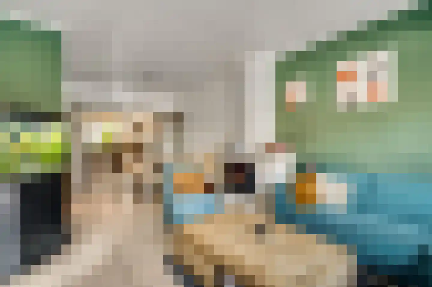 Koningin Julianastraat 7 Grathem thumbnail 14