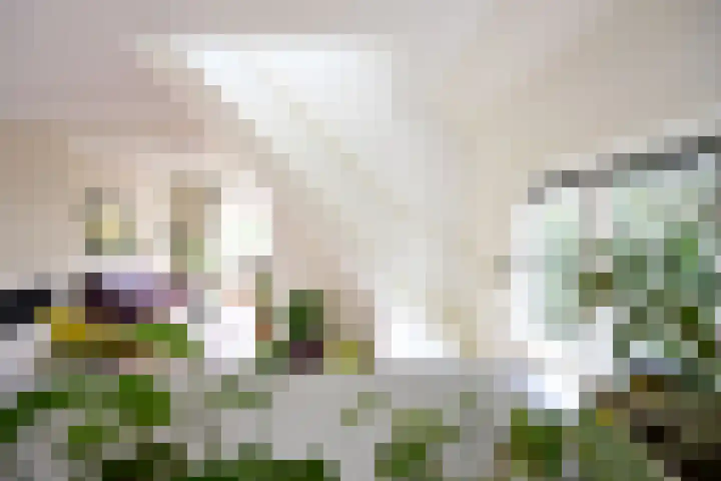 Koningin Julianastraat 7 Huizen thumbnail 13