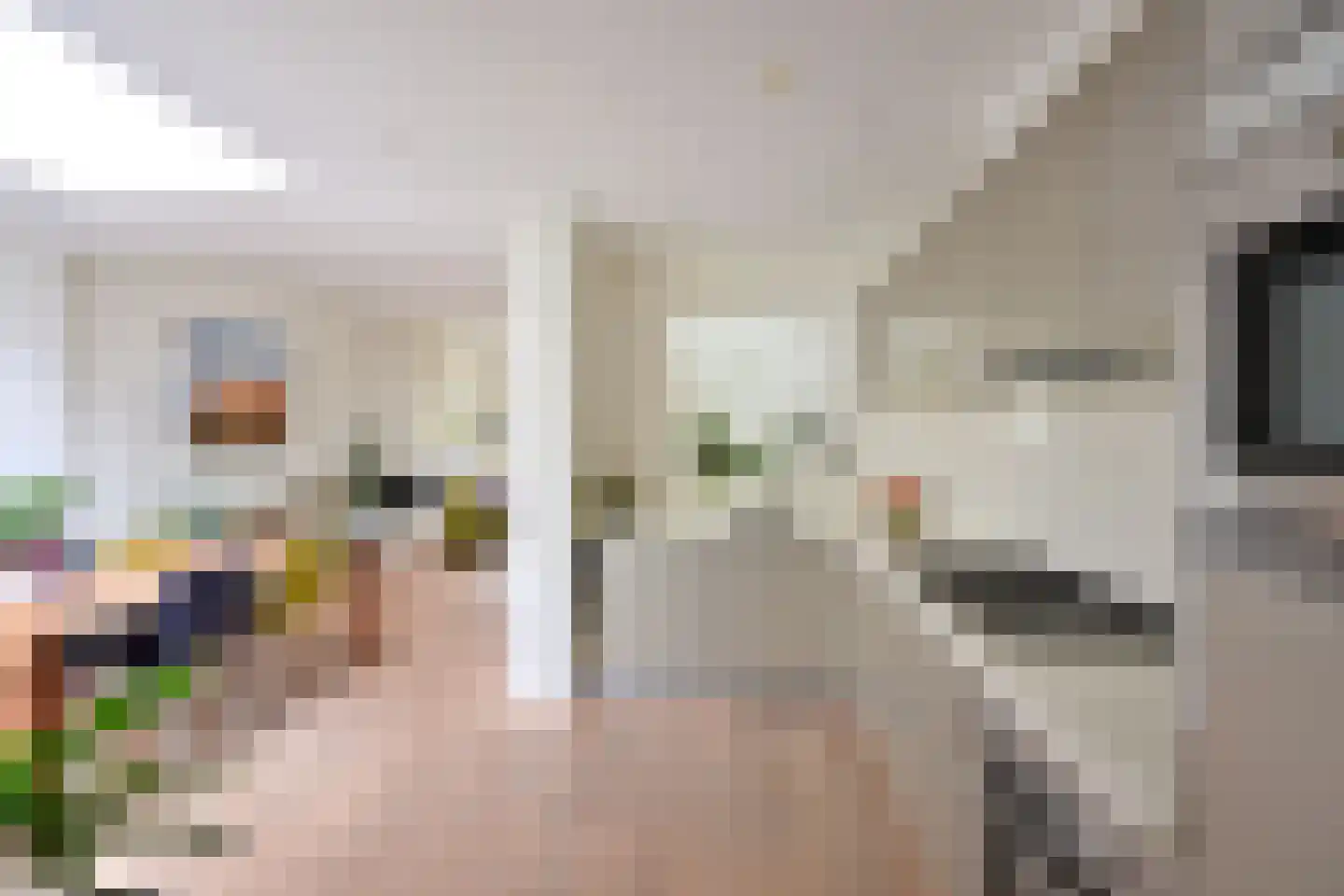 Koningin Julianastraat 7 Huizen thumbnail 4
