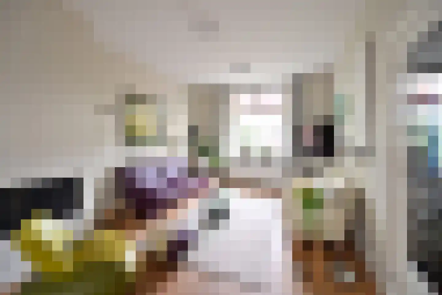 Koningin Julianastraat 7 Huizen thumbnail 7
