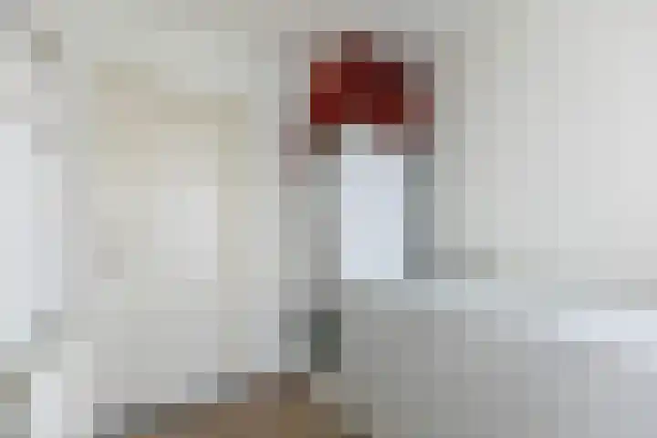 Koningin Julianastraat 7 Nunspeet thumbnail 15