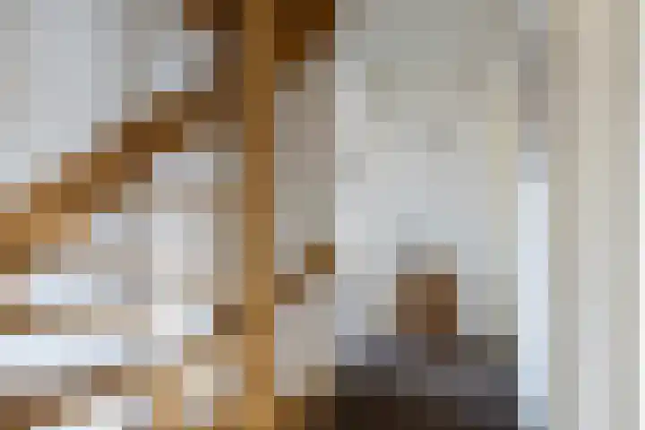 Koningin Julianastraat 7 Nunspeet thumbnail 16