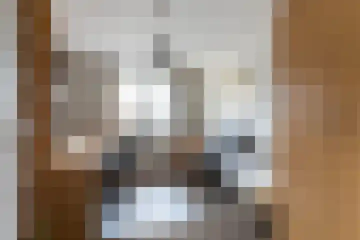 Koningin Julianastraat 7 Nunspeet thumbnail 19