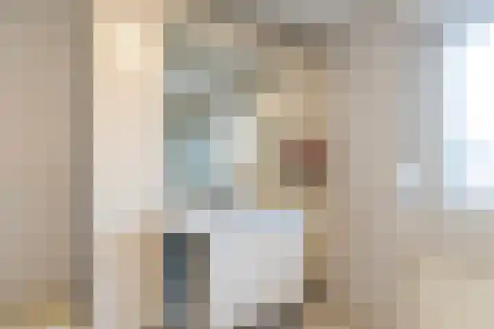 Koningin Julianastraat 7 Nunspeet thumbnail 21