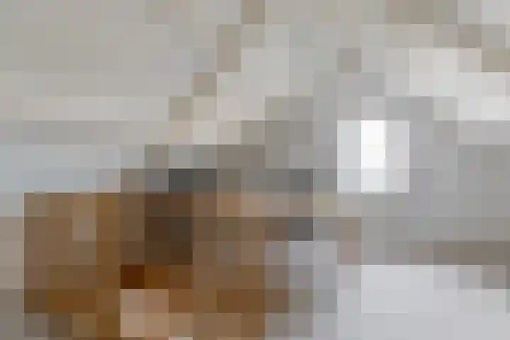 Koningin Julianastraat 7 Nunspeet thumbnail 23