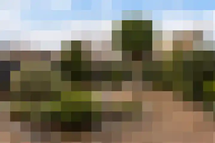Koningin Julianastraat 7 Nunspeet thumbnail 24
