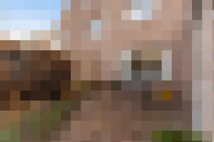 Koningin Julianastraat 7 Nunspeet thumbnail 27