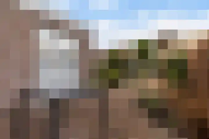 Koningin Julianastraat 7 Nunspeet thumbnail 28