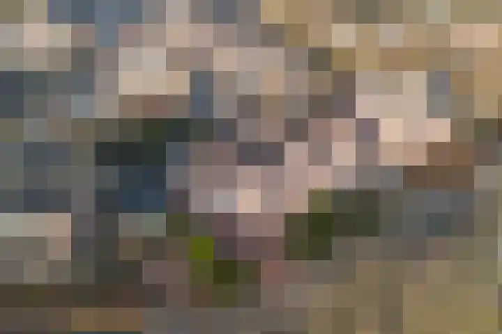 Koningin Julianastraat 7 Nunspeet thumbnail 29
