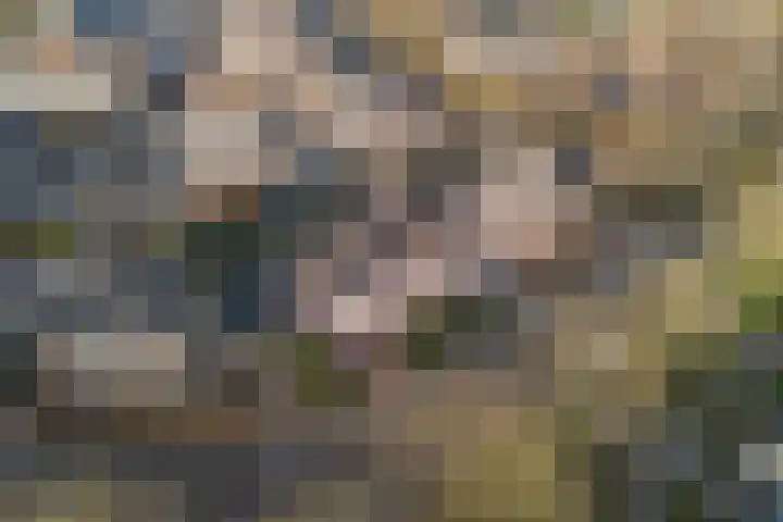 Koningin Julianastraat 7 Nunspeet thumbnail 30