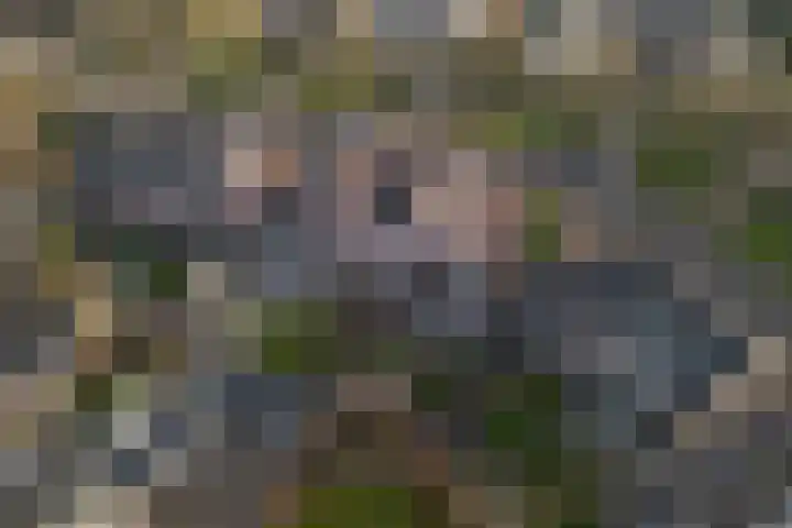 Koningin Julianastraat 7 Nunspeet thumbnail 31