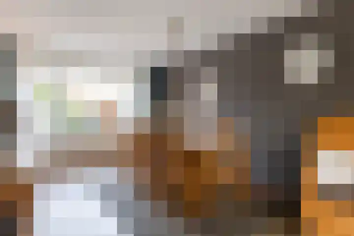 Koningin Julianastraat 7 Nunspeet thumbnail 9