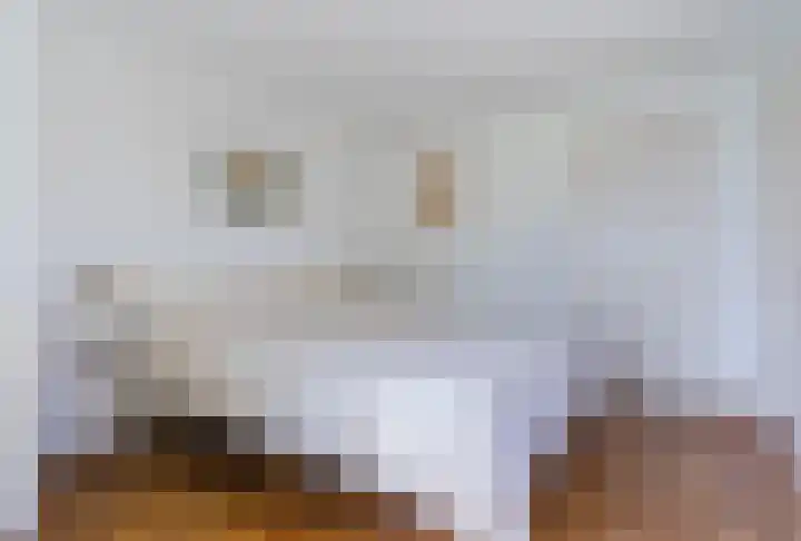 Koningin Julianastraat 8 Bergeijk thumbnail 15