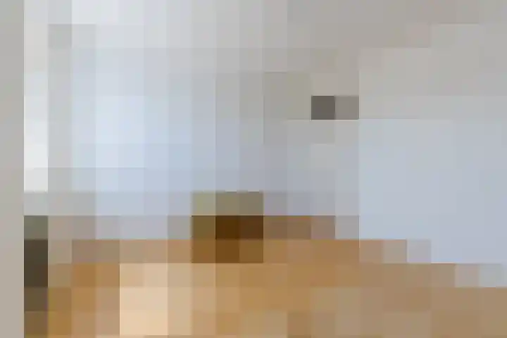 Koningin Julianastraat 8 Bergeijk thumbnail 19