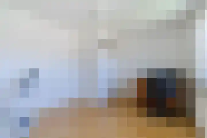 Koningin Julianastraat 8 Bergeijk thumbnail 21