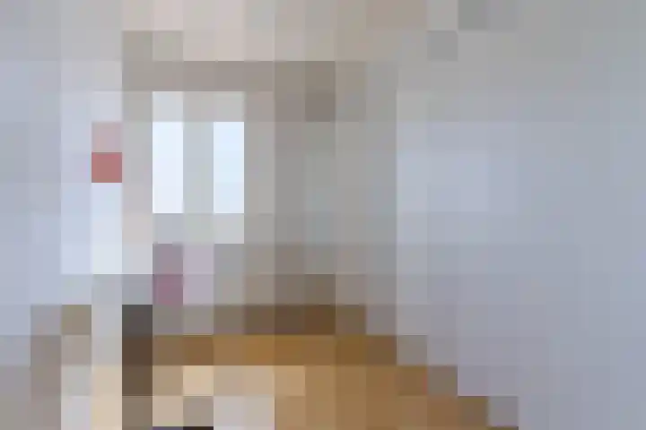 Koningin Julianastraat 8 Bergeijk thumbnail 22