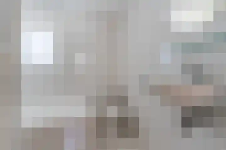 Koningin Julianastraat 8 Bergeijk thumbnail 23