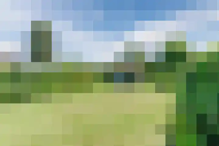 Koningin Julianastraat 8 Bergeijk thumbnail 28