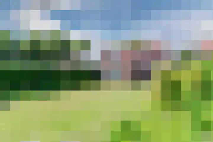 Koningin Julianastraat 8 Bergeijk thumbnail 29