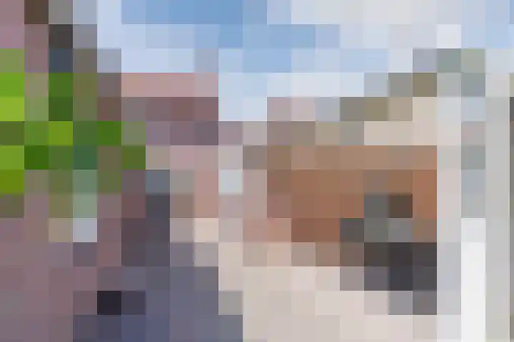 Koningin Julianastraat 8 Bergeijk thumbnail 30