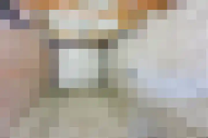 Koningin Julianastraat 8 Bergeijk thumbnail 31