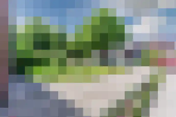 Koningin Julianastraat 8 Bergeijk thumbnail 32