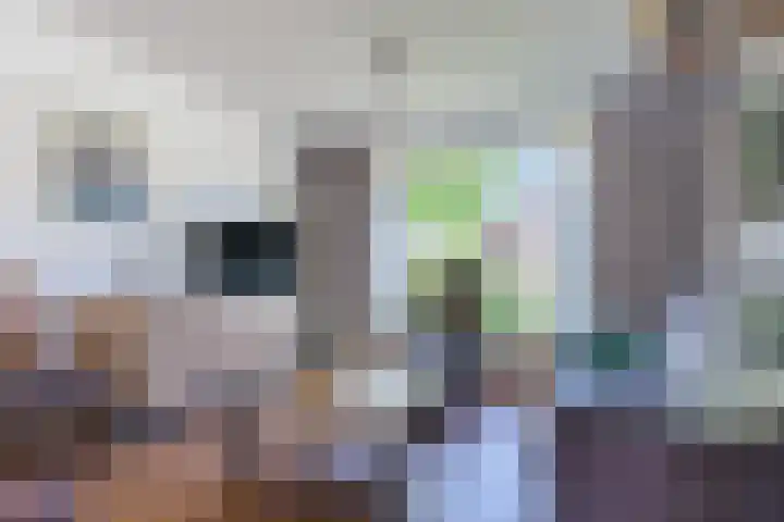 Koningin Julianastraat 8 Bergeijk thumbnail 7